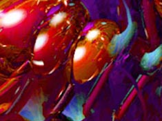 artworx: bild 15