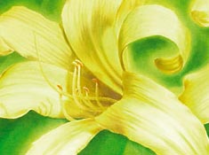 artworx: bild 18
