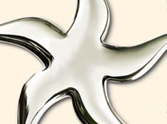 grafikdesign: bild 2 von 11